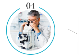 浙江旭日纖維有限公司主要生產和銷售浙江旭日纖維有限公司，冰絲、涼感PE纖維、中分子PE絲、丙綸細旦絲、玉米纖維、PLLA纖維、PLA纖維、玉米纖維FDY、丙綸DTY絲、丙綸超細旦絲、丙綸FDY細旦絲、丙綸絲、丙綸高強絲、丙綸普強絲、高強丙綸絲、丙綸FDY絲、丙綸長絲、超細旦絲